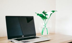 silver and black dell laptop beside white calla lily in clear glass vase on brown wooden desk